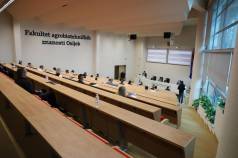 Mini IMG 4648